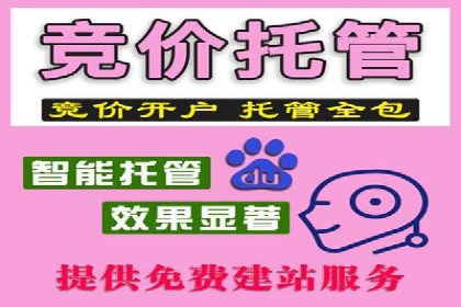 百度SEM广告投放的创意与执行：成功案例详解